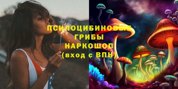 герыч Болотное