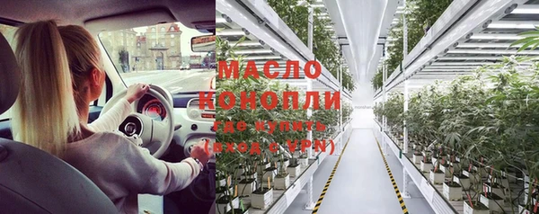 крисы Богородицк
