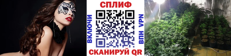 Бошки марихуана OG Kush  Калининск 